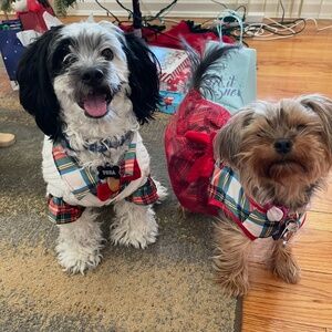 Meet your Posher, Shyree